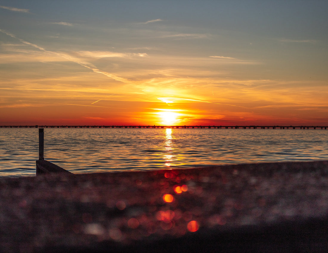 Crossing the Causeway: The Drive That Defines Living in Southeast Louisiana