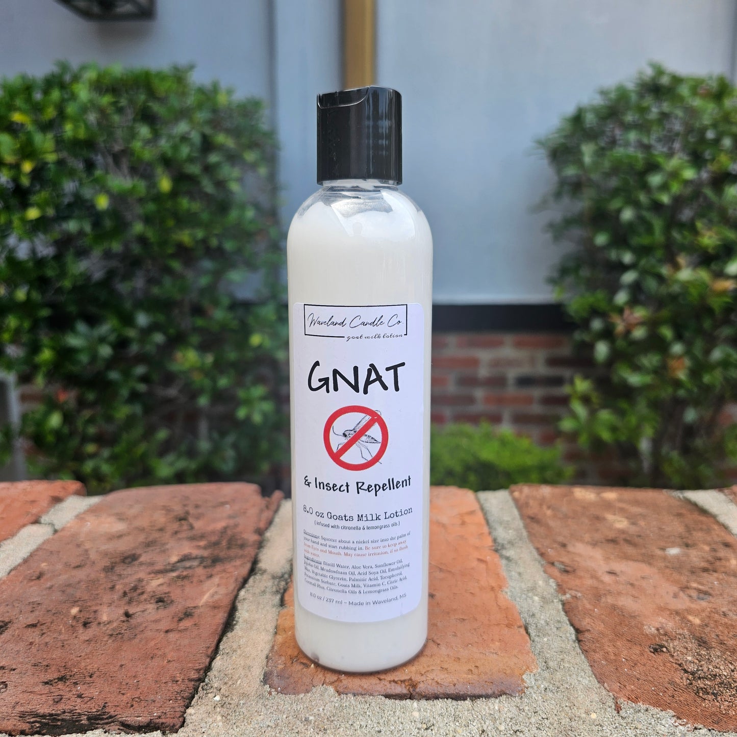 Gnat Repellent -