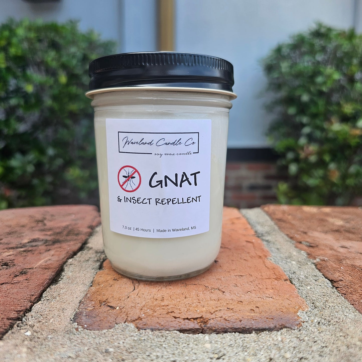 Gnat Repellent -