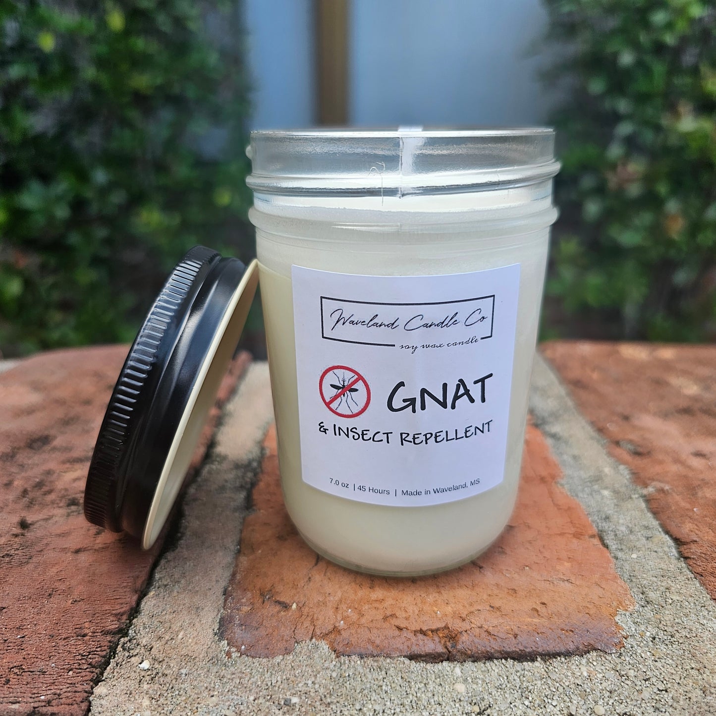 Gnat Repellent -