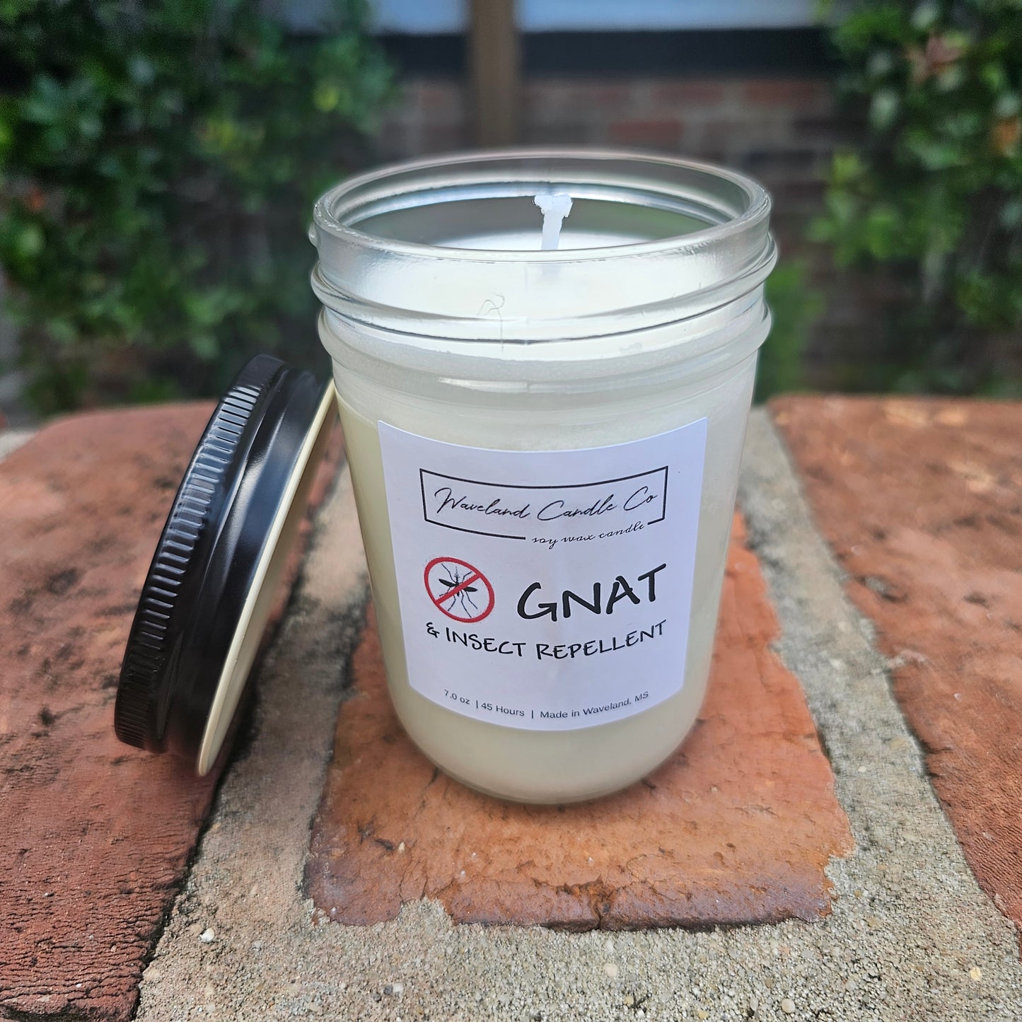 Gnat Repellent -