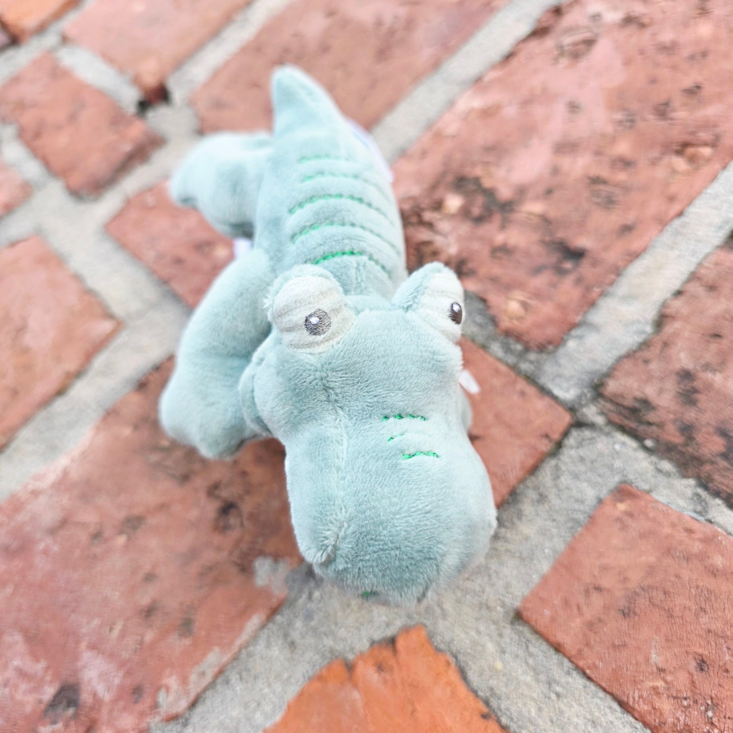 Gator baby teether/ pacifier