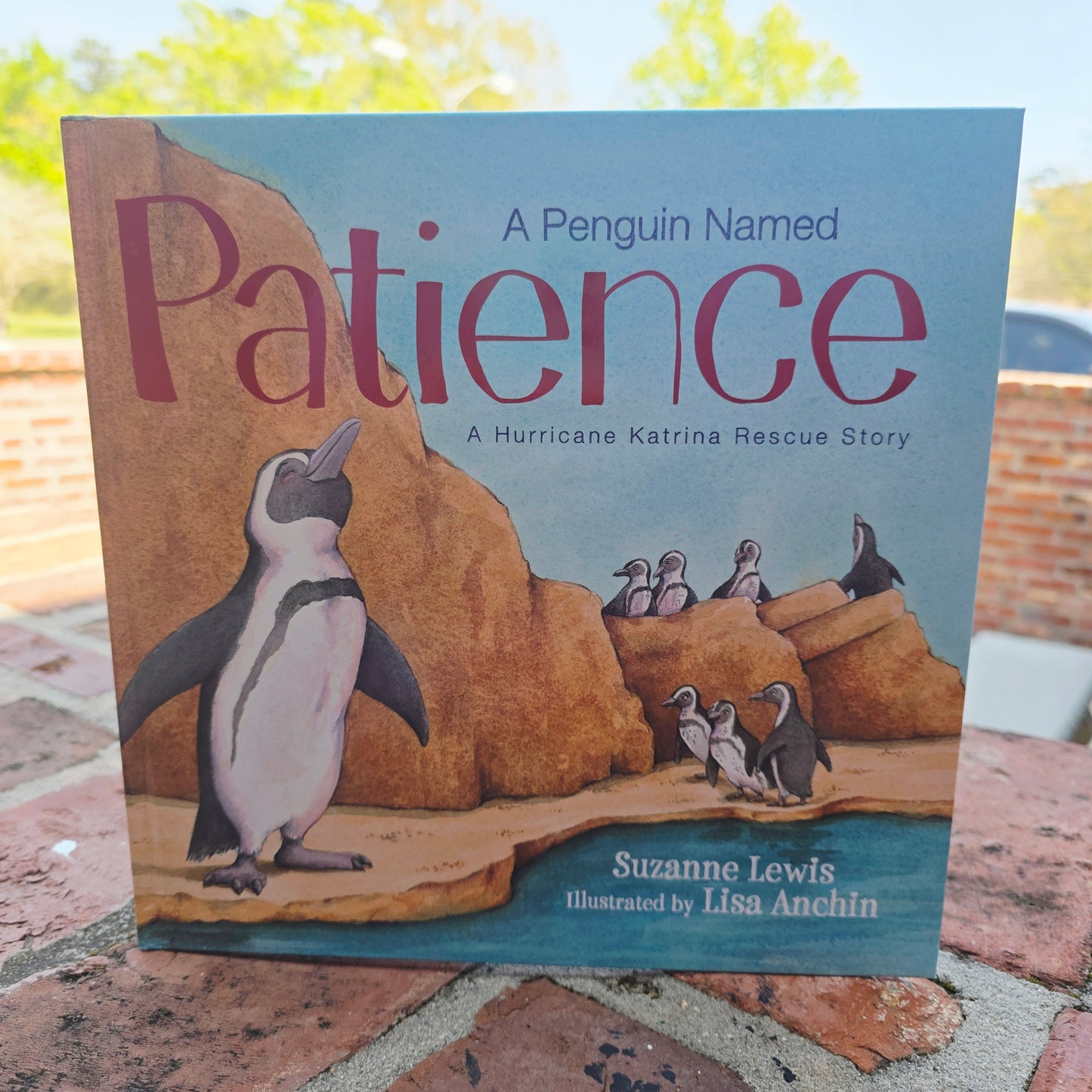 Penguin named patients Audubon zoo rescue after hurricane Katrina