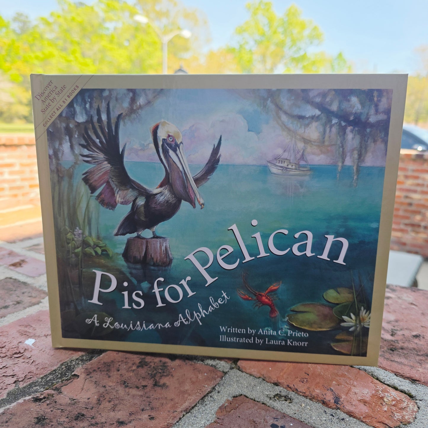 Pete is for pelican LOUISIANA alphabet children’s book