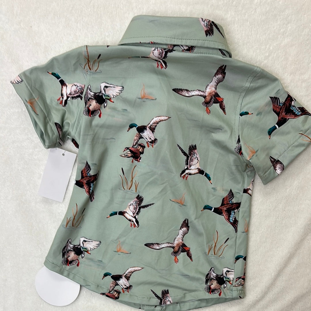 Green Duck Boy's Button Up Shirt