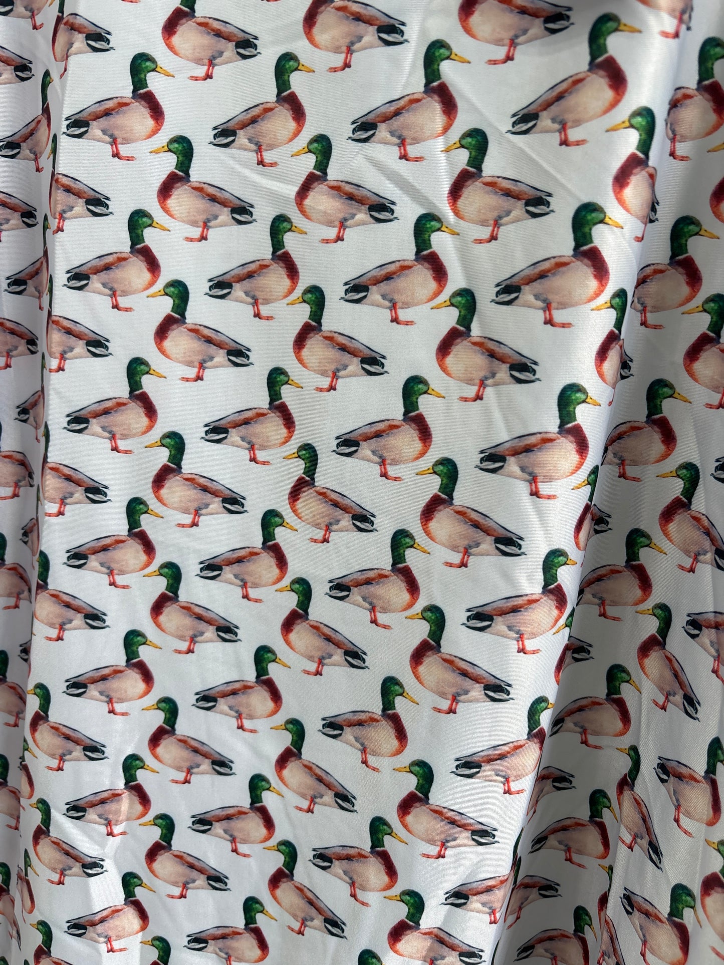 Mallard Duck Men’s Polo Shirt
