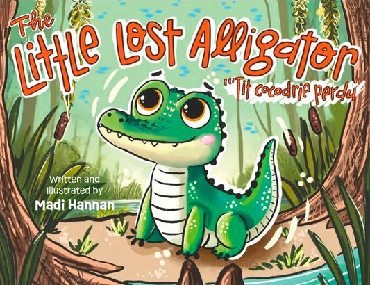 The Little Lost Alligator, Book