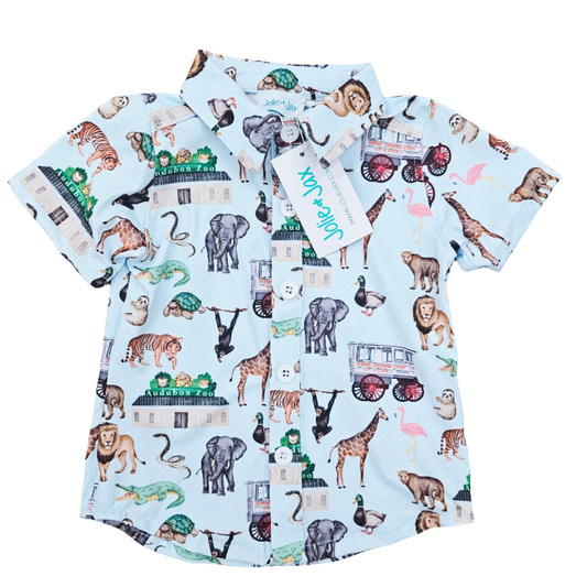 zoo, bubble, giraffe, elepahnt, tiger, lion, leopard, alligator