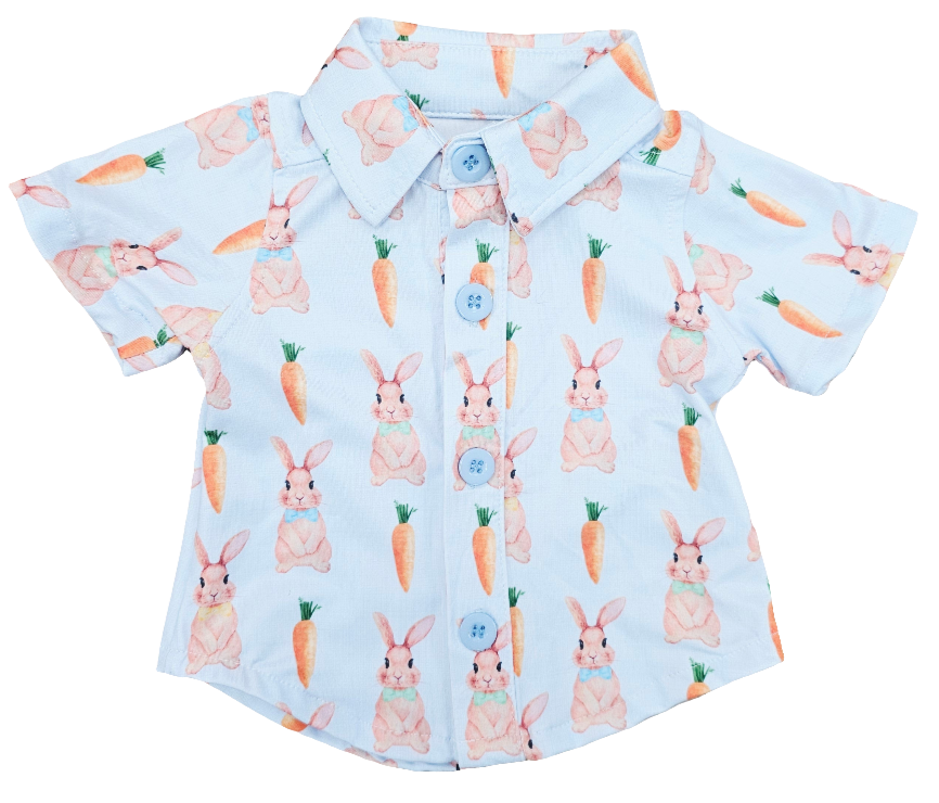 bunny carrot easter 