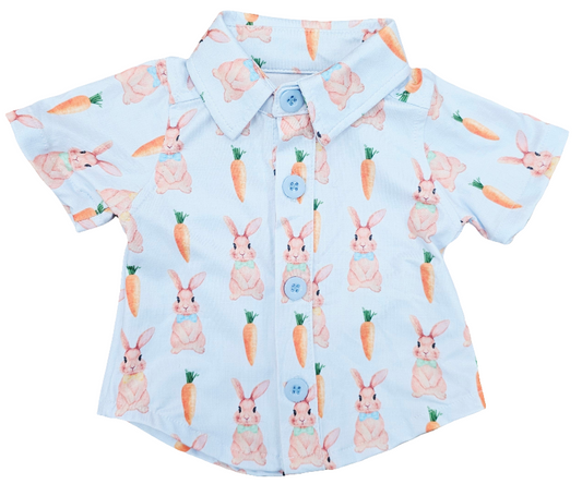 bunny carrot easter 