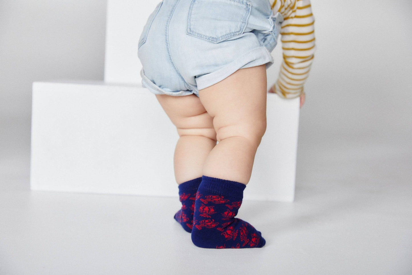 Crawfish Kids Socks