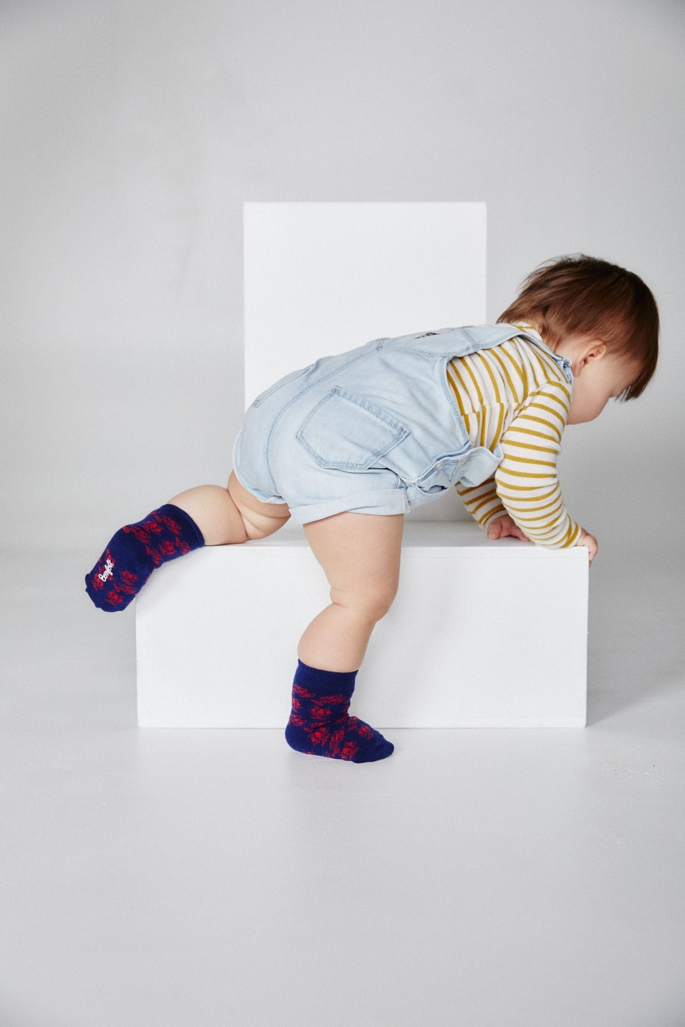 Crawfish Kids Socks